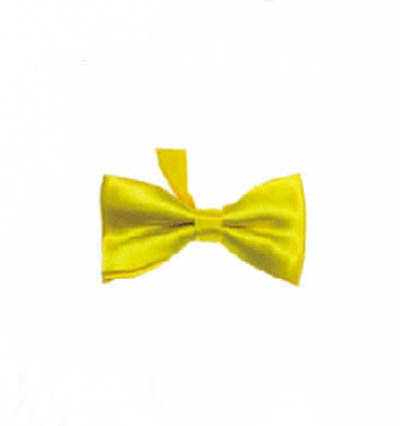 BT016 Order suit bow tie online order formal bow tie manufacturer detail view-32